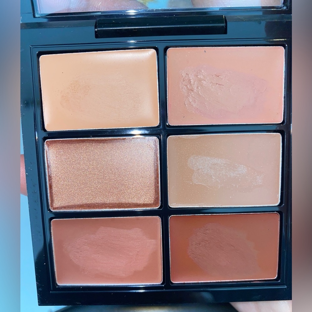 MAC Pro Lip Palette 6 Modern Browns Discontinued Rare Lipstick Nude Neutral